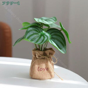 300~OFFN[| lHA ϗtA ~j u CeA ^ TCY ItBX ̗Ή ϗtA  lHϗtA rO A lHA ϗtA Xe AC