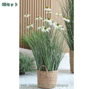 3500~OFFN[| lHϗtA tFCNO[ ډB ͗lւ ϗA lHϗt Vv  ItBX  CeA ^   lHϗtA q Q x_  