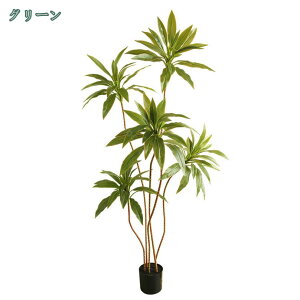 hZi lHϗtA  sv tFCNO[ CeA Mtg j tFCNA ^ lH  O b炸 ͂Ȃ  Ύ  Lb` ItBX 