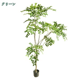 1000~OFFN[| G lHϗtA  sv tFCNO[ CeA Mtg j tFCNA ^ lH  O b炸 ͂Ȃ  Ύ  Lb