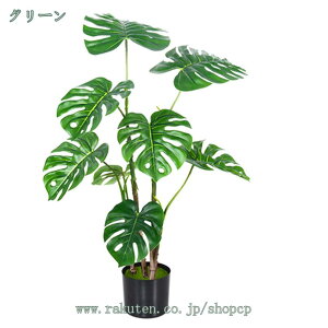 lHϗtA {Ƃ Xe CeAO[ bsv sv Q̐SzȂ ͂Ȃ  ϗtA Aؔ ~͐A v[g j  a ̓ 