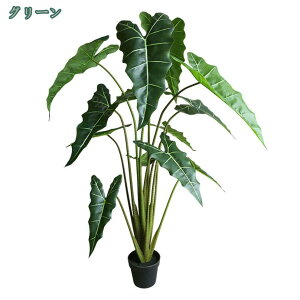 1000~OFFN[| tFCNO[ sv 엿sv lHϗtA Xe lH ̂Ȃ K̖ ^A rO[ tFCNc[ Ԏ ̂юѕ z[f