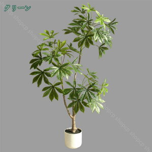 lHϗtA i̖ xW~ AA ͂Ȃ Ύ ԊϗtA  z[   fR[V k _ȃCeA lH tFCNO[ ȒPb炸 