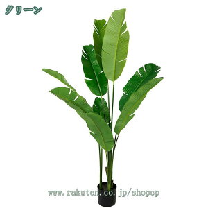 2000~OFFN[| ϗtA tFCN Xg`AEMl tFCNO[ lHϗtA  CeA  O tFCNA lH tFCNc[ sv ͂Ȃ ~͐A 