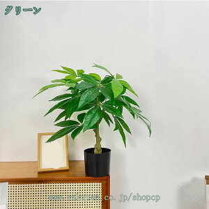 tFCNO[ CeAO[ pL lHϗtA z[ A ϗt  ȒP Vzj JXj VN NX}X ItBX X   ϏܐA  s