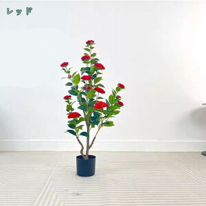  lHϗtA tFCNO[ A CeA ^  lH  fR[V ͂Ȃ ւ̖ ւ̉ {  tFCN ϏܐA C~e[V  