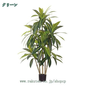  lHϗtA tFCNO[ A CeA ^  lH  fR[V ͂Ȃ hZi {  tFCN ϏܐA C~e[V  ȒP 