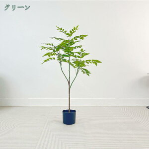 1000~OFFN[| tFCNO[ lHϗtA V  CeAO[ ւ̖ ȒPb炸 sv ^ ϗt Ύ tFCN  pA u rO ~͐A