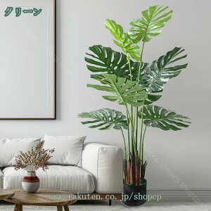 lHϗtA Q̐SzȂ sv tFCNO[ Xe A   CeA  MtgΉ ̓ ̓ v[g {  ItBX ^ JX