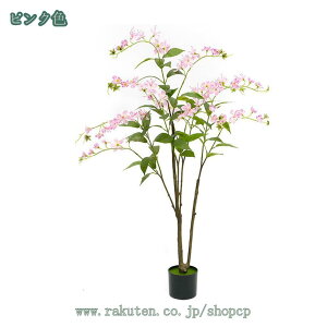 1000~OFFN[| tFCNO[ lHϗtA AȗΗt sv ͂Ȃ ^ OΉ A ȒP ȒP Q̐SzȂ  Lb` ItBX x_ z 