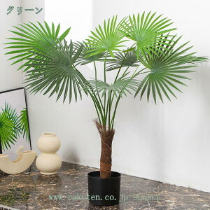 V̖ Op lHϗtA  A Ύ ΍ tFCNO[ lHϗt  Vv ItBX  _ CeA ^  ͂Ȃ Q쏜sv A 