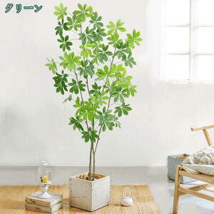 ϗtA xW~ VFt tFCNO[ A CeA  ~͐A tFCNA ډB lH lHϗtA b炸 sv ItBX z[ rO 