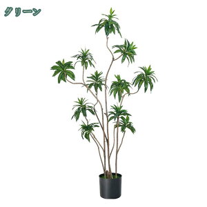 hZi Op lHϗtA  A Ύ ΍ tFCNO[ lHϗt  Vv ItBX  _ CeA ^  ͂Ȃ Q쏜sv A 