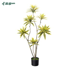 1000~OFFN[| hZi Op lHϗtA  A Ύ ΍ tFCNO[ lHϗt  Vv ItBX  _ CeA ^  ͂Ȃ Q