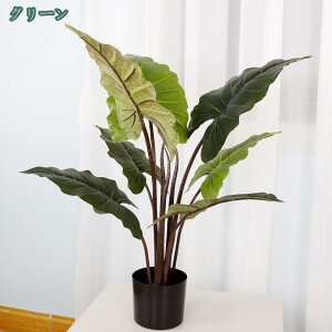 2000~OFFN[| A  lHϗtA tFCNO[ CeA  ̃O[ fR[V ͂Ȃ Xe K̖ { j Mtg v[