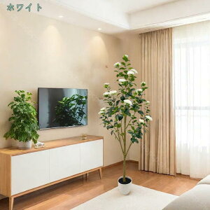 tFCNO[ sv ͂Ȃ ȒP lHϗtA ւ̖  A lHt ϗt tFCNA ~͐A z[ ̑ lH { ̓ 