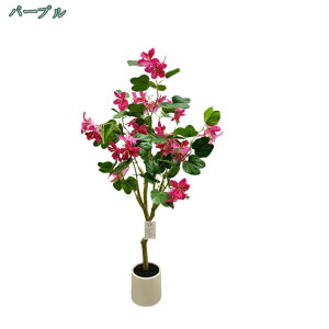 lHϗtA Q̐SzȂ sv tFCNO[ niYIE̖ A   CeA  MtgΉ ̓ ̓ v[g {  ItBX ^ 