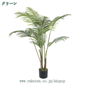 lH ϗtA tFCNO[ AJV lH ^ a  A A CeA O p tFCNA sv ͂Ȃ ~͐A Vzj MtgՂ 蕨 