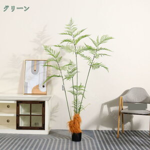 1000~OFFN[| V_A lHϗtA {  ItBX ^ ȒP sv tFCNO[ Q̐SzȂ zj Vzj Mtg v[g p  