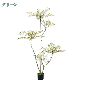 1000~OFFN[| tFCNO[ Ύ | ou[ lHϗtA ^  ItBX A CeA A  ϗA lHϗt sv Q̐SzȂ OlO