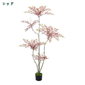 tFCNO[ Ύ | ou[ lHϗtA ^  ItBX A CeA A  ϗA lHϗt sv Q̐SzȂ OlOlȂ 