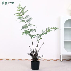 1000~OFFN[| ^ t lHϗtA V_A tFCNO[ Ύ fR[V lHϗt tFCNϗtA K̖ a m ItBX ܂ A  ͂Ȃ 