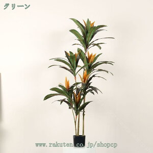 Ύ hZi lHϗtA tFCNO[ ^  p A CeA  A  ϗA lHϗt ~͐A ȒPb炸 sv Q̐SzȂ Vv