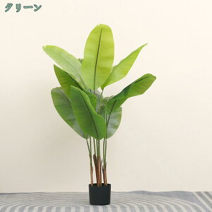 1000~OFFN[| ^ t lHϗtA Xg`AEMl tFCNO[ Ύ fR[V lHϗt tFCNϗtA K̖ a m ItBX ܂ A 