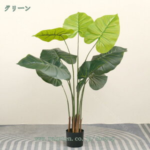 lH ϗtA tFCNO[ NYC lH ^ a  A A CeA O p tFCNA sv ͂Ȃ ~͐A Vzj MtgՂ 蕨 