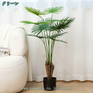 1000~OFFN[| ϗtA lH b炸 A ͂Ȃ sv tFCNO[  j lHϗtA  CeA 킢 { tFCN lH Ղ