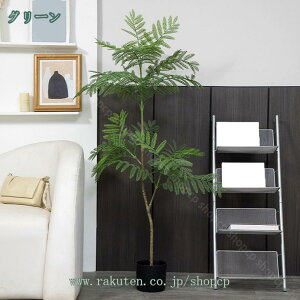 tFCNO[ lHϗtA WJ_̖ sv ͂Ȃ 蕨 j ԃO[ { t  IV 킢 CeAO[ bv炸 VN C