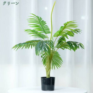 tFCNO[ lHϗtA AJV sv ͂Ȃ 蕨 j ԃO[ { t  IV 킢 CeAO[ bv炸 VN C] 