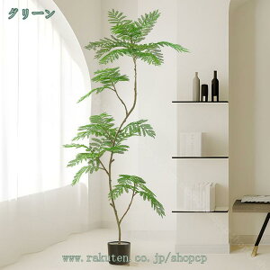 tFCNO[ WJ_̖ lHϗtA tFCN   ^ CeA bȂ sv Q̐SzȂ  Lb` ItBX  j A lHϗt 