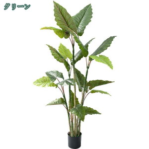 tFCNO[ lHϗtA Xe sv ͂Ȃ 蕨 j ԃO[ { t  IV 킢 CeAO[ bv炸 VN C] 