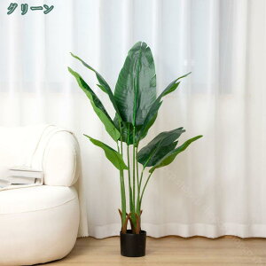 2000~OFFN[| ϗtA lH b炸 A ͂Ȃ sv tFCNO[  j lHϗtA  CeA 킢 { tFCN lH Ղ