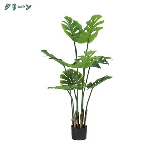 1000~OFFN[| Xe tFCNO[ ^ A A 傫 lH GgX X sv ItBX i` lHϗtA   JXj Vzj  