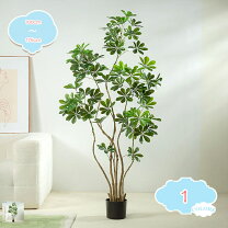 楽天市場】fejka フェイカ 人工観葉植物, ベンジャミンの通販