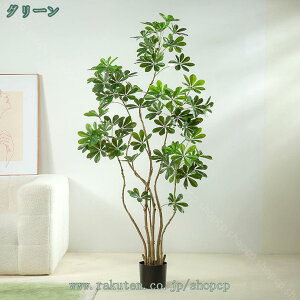 1000~OFFN[| tFCNO[ xW~ lHϗtA tFCN   ^ CeA bȂ sv Q̐SzȂ  Lb` ItBX  j A 