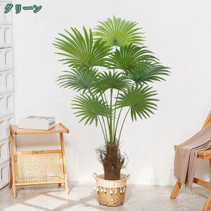 tFCNO[ CeA  lHϗtA V̖   ϗt lHϗA ^ Ηt tFCNϗtA A sv ͂Ȃ QȂ a m ItBX 