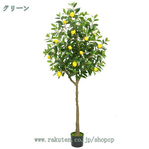 ̖  ^ ϗtA tFCNO[ lHϗtA ItBX  CeA tFCNO[ ϗA ϗt JtF A j j JX J Vz rO