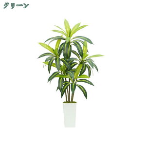 tFCNO[ CeA  lHϗtA hZi   ϗt lHϗA ^ Ηt tFCNϗtA A sv ͂Ȃ QȂ a m ItBX 