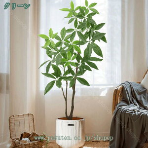 1000~OFFN[| ϗtA tFCNO[ pL ̂Ȃ  ϗt  CeAO[ ^ Vv a m ItBX  ܂ lHϗA sv ͂Ȃ Q