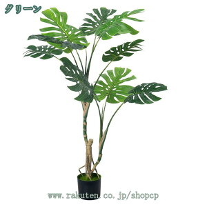 1000~OFFN[| A lHϗtA CeA  lH tFCN O[ A a j Mtg v[g AA ͂Ȃ  z[   fR[V X