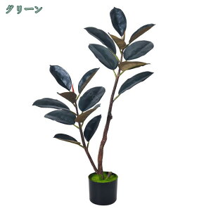  S̖ lHϗtA tFCNO[ lH ϗtA ϗt tFCN   ^ ȒP sv Q쏜sv  ƒ oRj[ v[g Iȑ z̃Mt