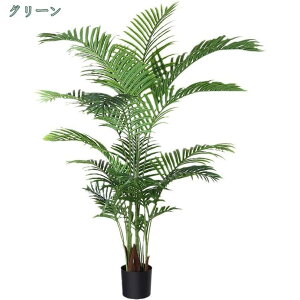 2000~OFFN[| ϗtA lH b炸 A ͂Ȃ sv tFCNO[  j lHϗtA  CeA 킢 { tFCN lH Ղ