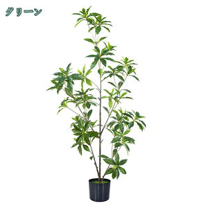 777~OFFN[| A lHϗtA CeA  lH tFCN O[ A a j Mtg v[g AA ͂Ȃ  z[   fR[V n 