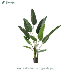 tFCNO[ ϗtA tFCN Xg`A lHA K̖ lHϗtA ^   K^̖ lHϗt O  CeA A  j  ItBX 