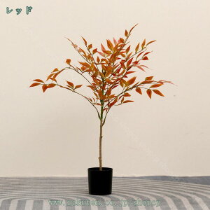 lHϗtA lHA tFCN | ou[ tFCNO[ K̖ ϗA A  { ^   K^̖ lHϗt O  CeA j v[