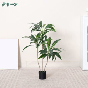 tFCNO[ Ύ hZi ^ sv ͂Ȃ QȂ { lHϗtA  A  CeA IV k  JXj Vzj Mtg 