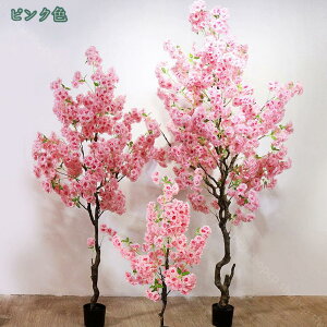 1000~OFFN[| A  lHϗtA tFCNO[ CeA  ̃O[ fR[V ͂Ȃ ̖ ̉ K̖ { j Mtg v